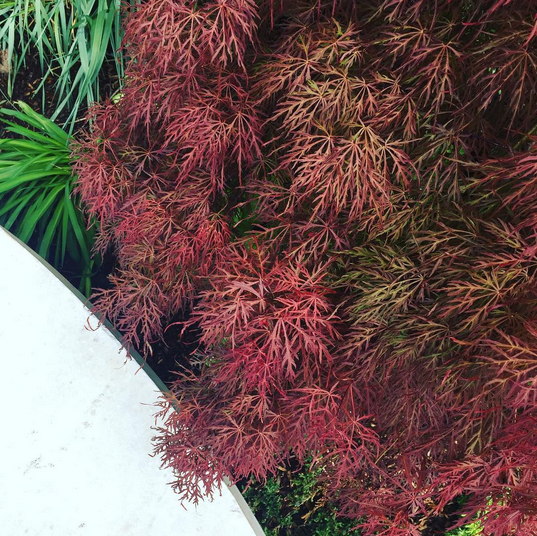 Self Knowledge & Education