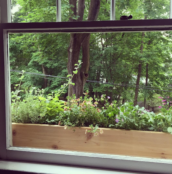 Self Knowledge & Education